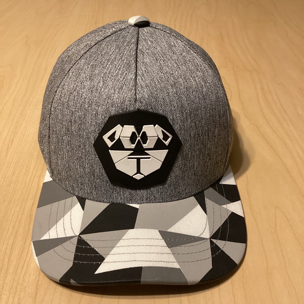 Steelo Teamlife Paper Lion Origami Baseball Cap Snapback Hat Gray Unisex Cotton